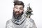 Funny bearded man in a New Year`s image with snow and decorations on his beard. Feast of Christmas.