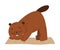 Funny Beaver Animal on Yoga Mat Practicing Asana and Stretching Vector Illustration