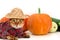 Funny bengal cat wear check shirt,straw hat near fresh vegetables,pumpkin,courgette on white background.Beautiful pet