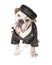 Funny Biker Bad Bulldog Breed Dog