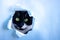 Funny black cat looks through a ragged hole in the blue paper. Game of hide. Naughty Pets and naughty Pets. A copy of the space