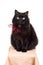 Funny black cat wearing red bow