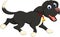 Funny black dog cartoon running