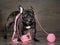 Funny black dog in pink intricate Threads