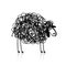 Funny black sheep, sketch