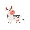 Funny black white spotted cow standing and looking back