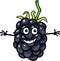 Funny blackberry fruit cartoon illustration