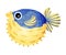 Funny Blowfish or Balloonfish as Marine Animal Vector Illustration
