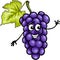 Funny blue grapes fruit cartoon illustration