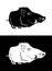 Funny boar silhouette