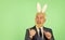 Funny boss. Easter activities for office. Bearded man bunny ears on head. Businessman wear bunny costume accessory