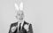 Funny boss. Easter activities for office. Bearded man bunny ears on head. Businessman wear bunny costume accessory