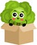 Funny broccoli mascot in cardboard box