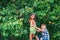 Funny brother and sister at the tree with ripe apricots .