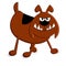 Funny brown angry dog