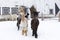 Funny brown and caramel coloured alpacas standing in front of other animals in a pen covered in fresh snow