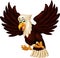 Funny Brown Eagle Cartoon