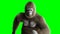 Funny brown gorilla runing. Super realistic fur and hair. Green screen 4K animation.