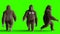 Funny brown gorilla walking. Super realistic fur and hair. Green screen. 3d rendering.