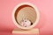 Funny brown hamster sits in a wooden wheel close-up, pink background