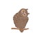 Funny brown long-eared owl sitting on branch tilting head flat style