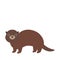 Funny brown otter on white background. Kawaii. Vector illustration