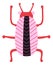 Funny bug. Decorative beetle. Doodle style insect