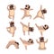 Funny bulldog in different poses of yoga. Healthy lifestyle. Dog doing physical exercises. Cartoon domestic animal