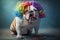 Funny bulldog dog dressed as a clown wearing a colorful wig