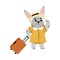 Funny Bunny Traveler Character with Suitcase Vector Illustration