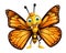 funny Butterfly cartoon character