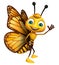 funny Butterfly cartoon character