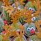 Funny cacti with eyes and antlers on sale in a flower shop for Christmas