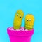 Funny Cacti with eyes. Minimal colorful design art