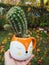 Funny cactus for cacti lovers hobby garden