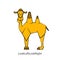 Funny camel 2 color