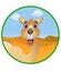 Funny camel cartoon