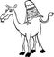 Funny camel with one hump