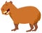 Funny capybara cartoon animal character