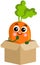 Funny carrot mascot in cardboard box