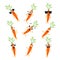 Funny carrot - vector isolated cartoon emoticons