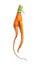 funny carrot on white background
