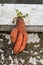 Funny carrots, homemade zero waste ugly food, antioxydant and non gmo vegetable, daucus carota