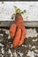 Funny carrots, homemade zero waste ugly food, antioxydant and non gmo vegetable, daucus carota