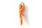 Funny carrots on white background