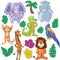 Funny cartoon animals : jungle and africa