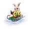 funny cartoon bunny on sled, hare symbol of 2023
