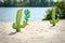 Funny cartoon cactuses in desert