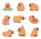 Funny cartoon capybara. Cute amusing characters