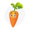 Funny cartoon carrot character. Vegetable on isolated white background